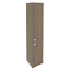 Вяз