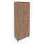 Дуб Табак